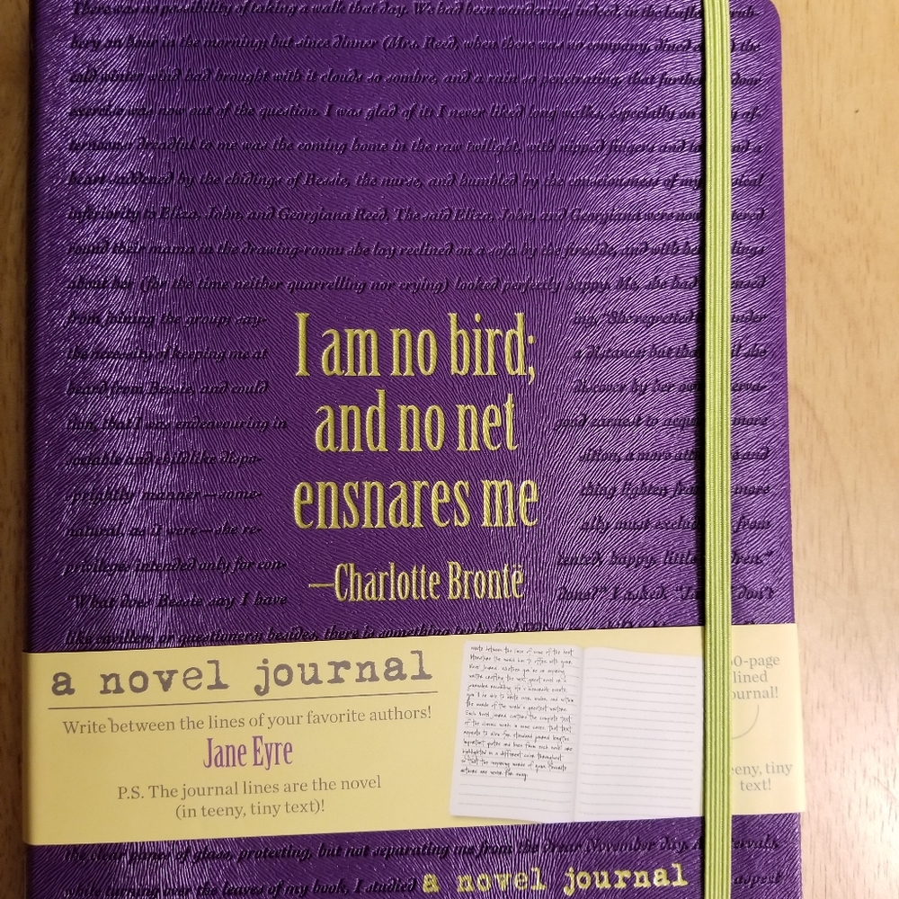 A Novel Journal  Jane Eyre